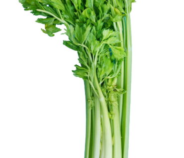 CELERY / APIO ESPAÑA KG