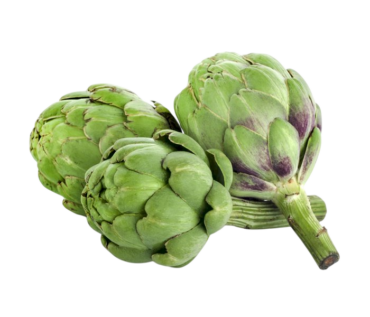 ALCACHOFA KG