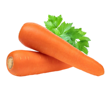 ZANAHORIA KG