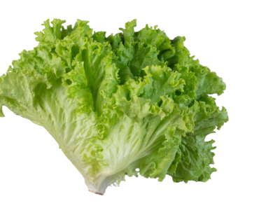 LECHUGA CRIOLLA KG
