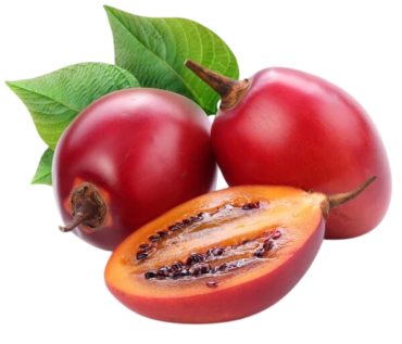 TOMATE DE ARBOL KG
