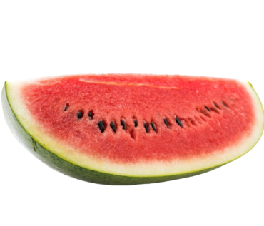 PATILLA KG