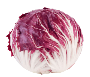 RADICCHIO KG