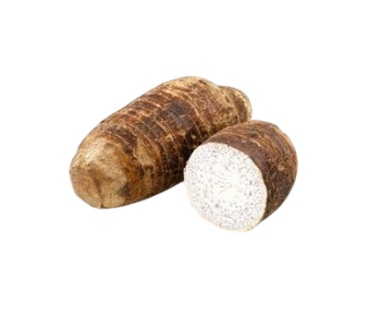 OCUMO CHINO KG