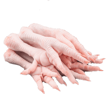 PATA DE POLLO