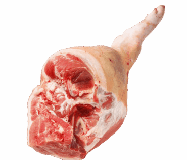 PERNIL
