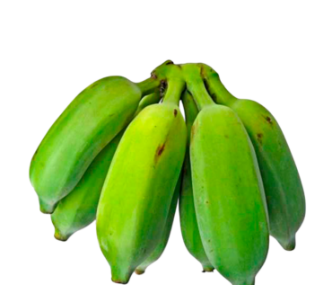 TOPOCHO KG