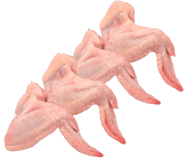 ALAS DE POLLO