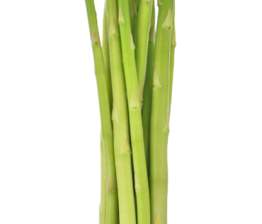 ESPARRAGOS KG