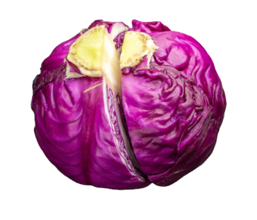 REPOLLO MORADO KG