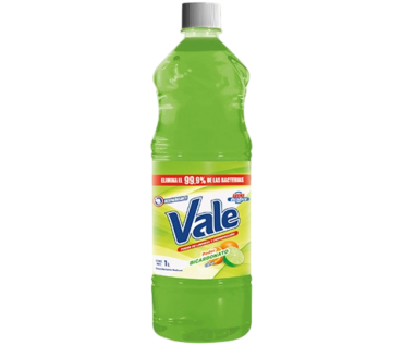 DESINFECTANTE VALE BICARBONATO 1L