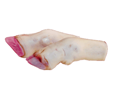 PATA DE RES UND