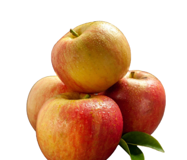 MANZANA GALA KG