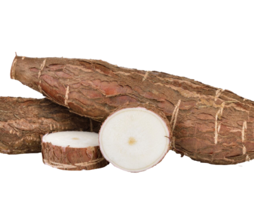 YUCA KG